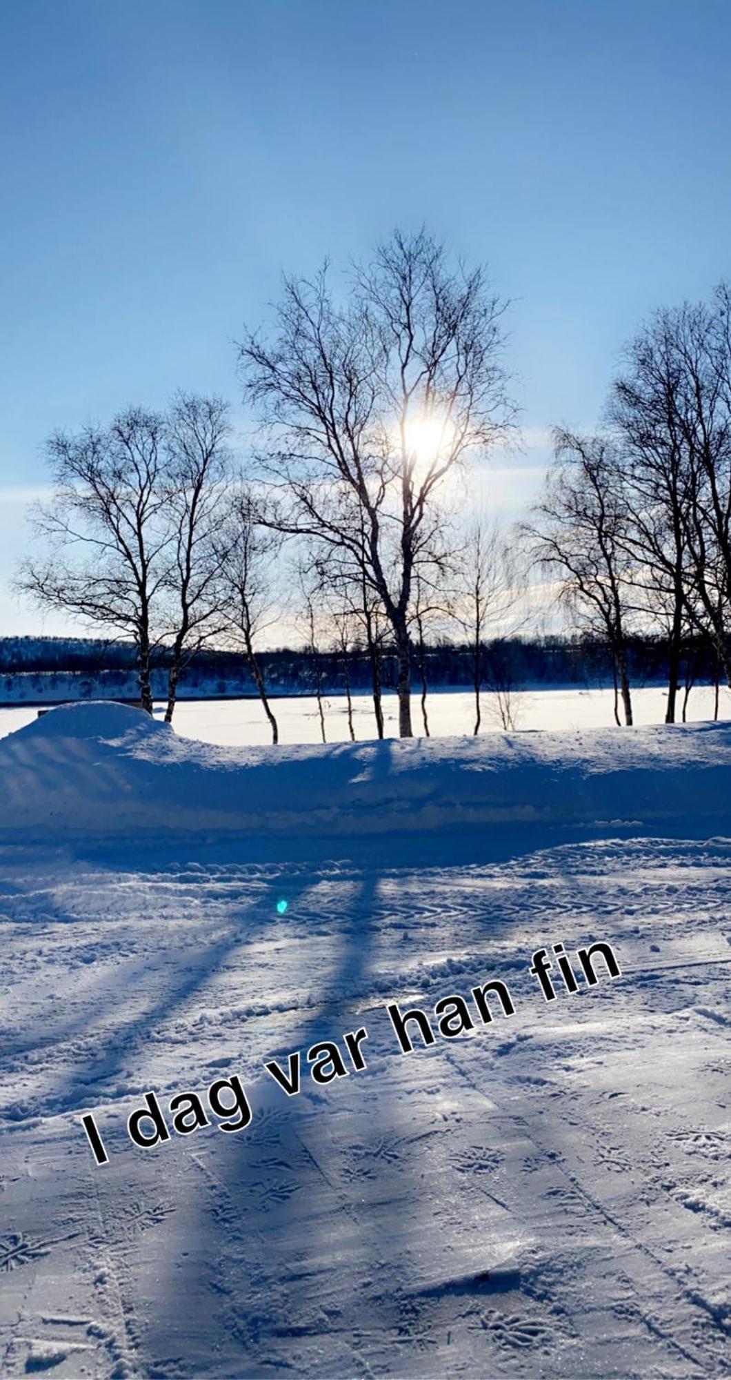 Cottage With Good Standard Next To Neiden River Esterno foto